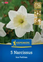 KIEPENKERL Blumenzwiebel Großkronige Narzisse 'Ice Folies', 5 Stück - Vorschau Bild 1